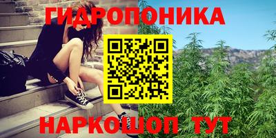 прущая мука Донецк