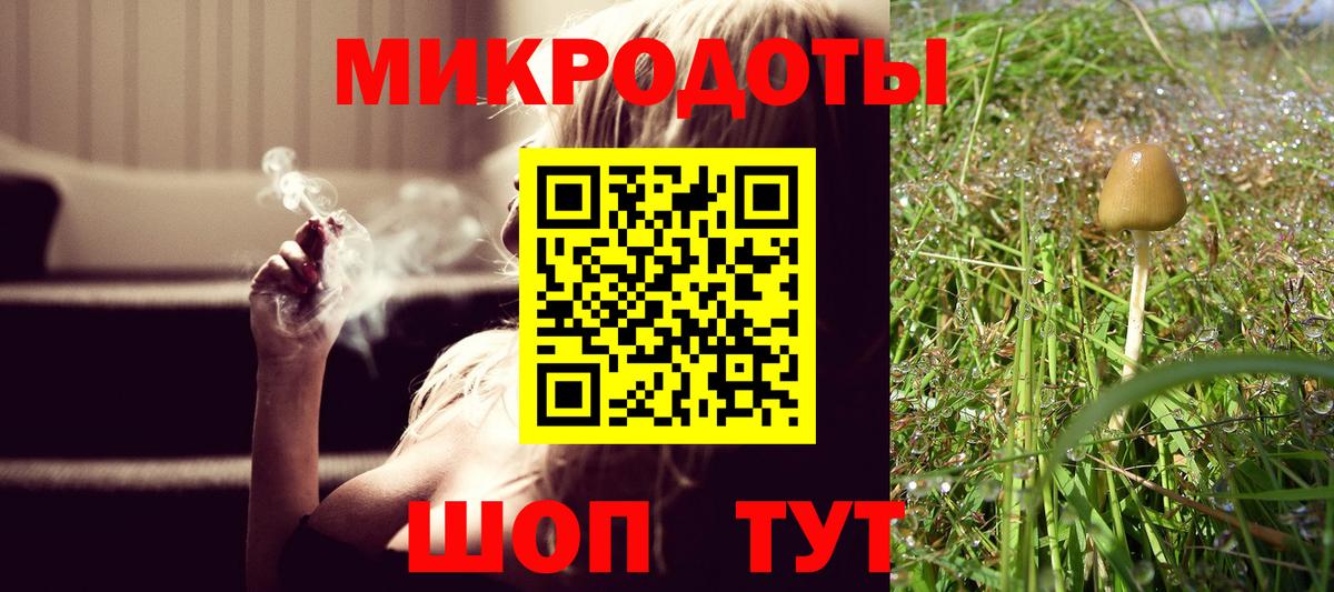 Псилоцибиновые грибы Psilocybe  Вход с VPN  Котлас  Галлюциногенные грибы MAGIC MUSHROOMS 